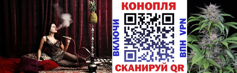 Купить Аркадак ГАШИШ Конопля Cocaine Галлюциногенные грибы Мефедрон Метадон АМФ