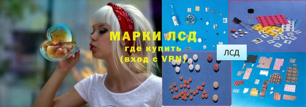 тгк Алзамай