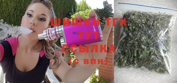 ешки Аркадак