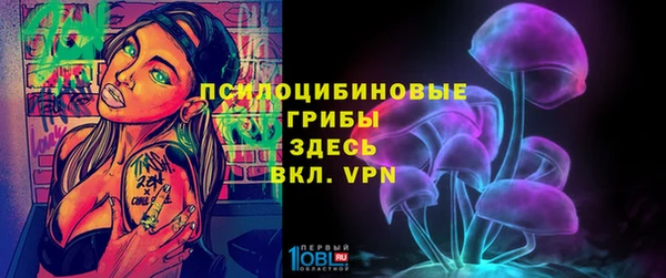 ешки Аркадак