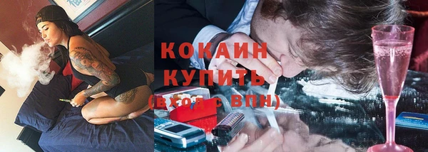 тгк Алзамай